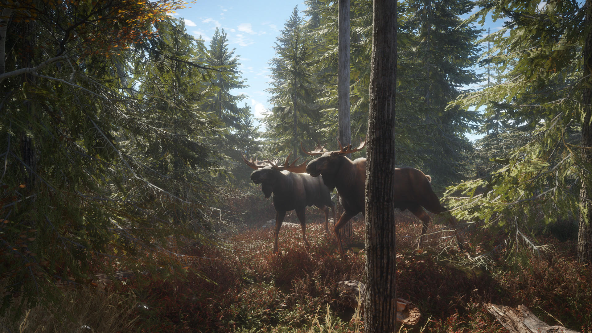 theHunter: Call of the Wild™ 遊戲截圖