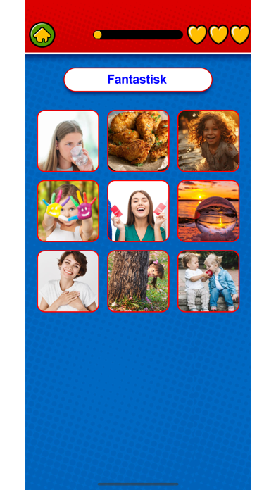 Learn Norwegian Flashcards Game Screenshot