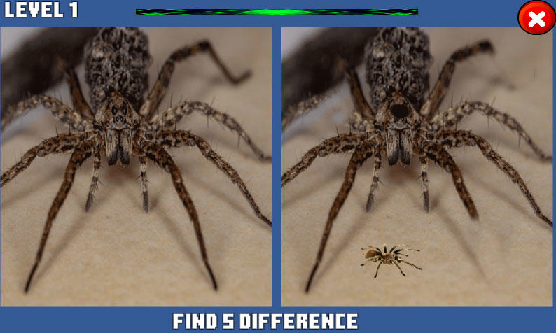 Spider Hidden Difference Game Screenshot