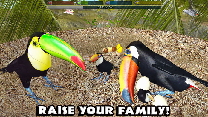 Screenshot of Ultimate Bird Simulator