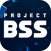 Projekt BSS