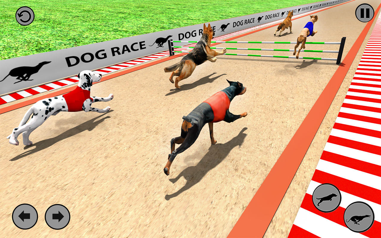 Dog Run Games- Pet Runner Game ภาพหน้าจอเกม