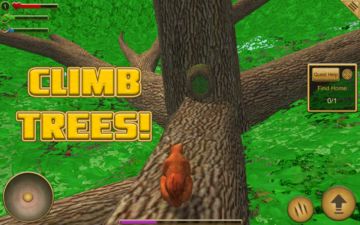 Squirrel Simulator ภาพหน้าจอเกม