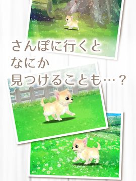 癒しの子犬育成ゲーム〜チワワ編〜 게임 스크린샷