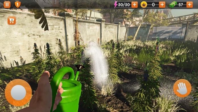 Screenshot of Weed Growing Shop Drug Game