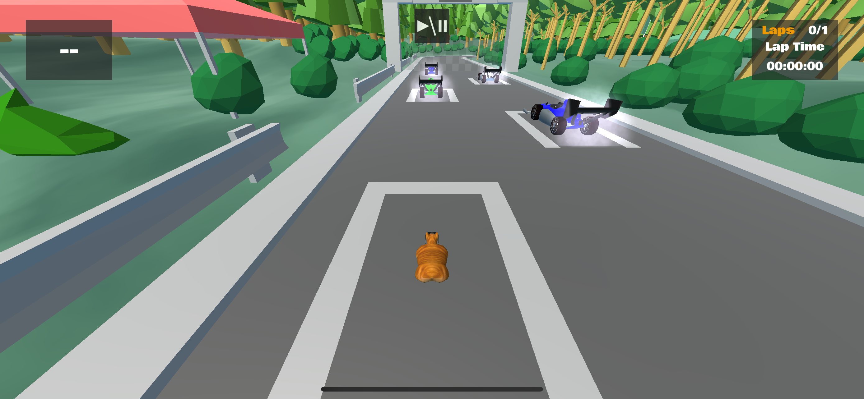 Ultimate Cat Race Game Screenshot