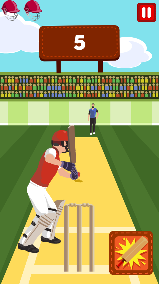 Pro Cricket Champion Game Screenshot