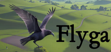 Banner of Flyga 