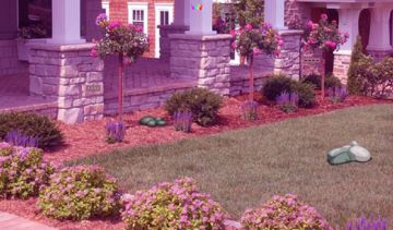 Escape Games Zone-142 Game Screenshot