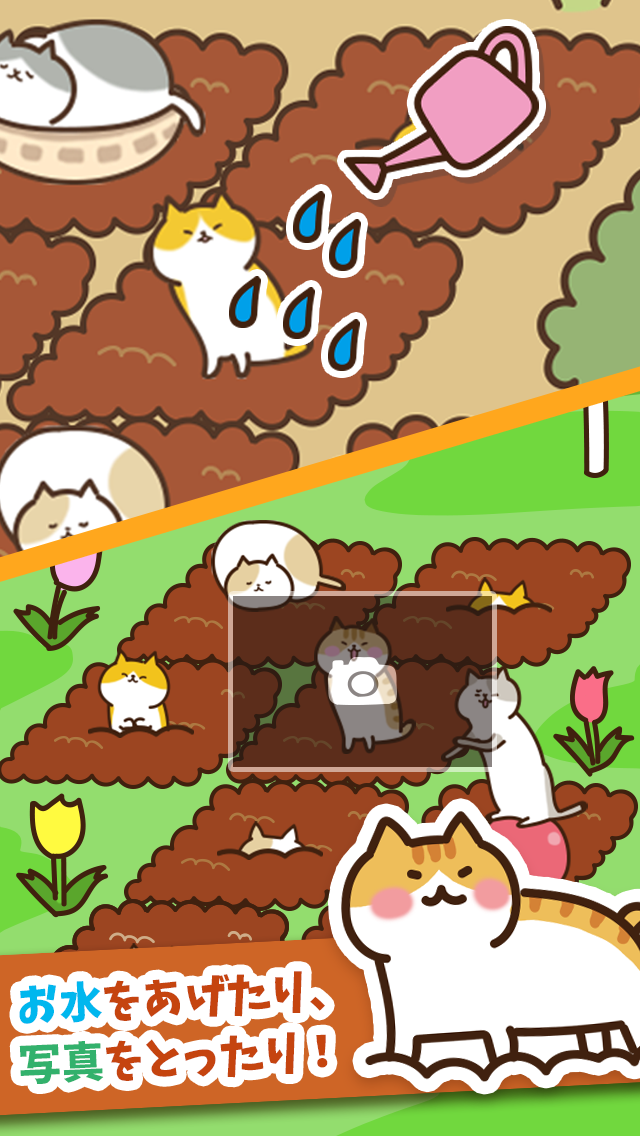 ねこ畑  -ほっこり畑でねこ育成- ゲームのスクリーンショット
