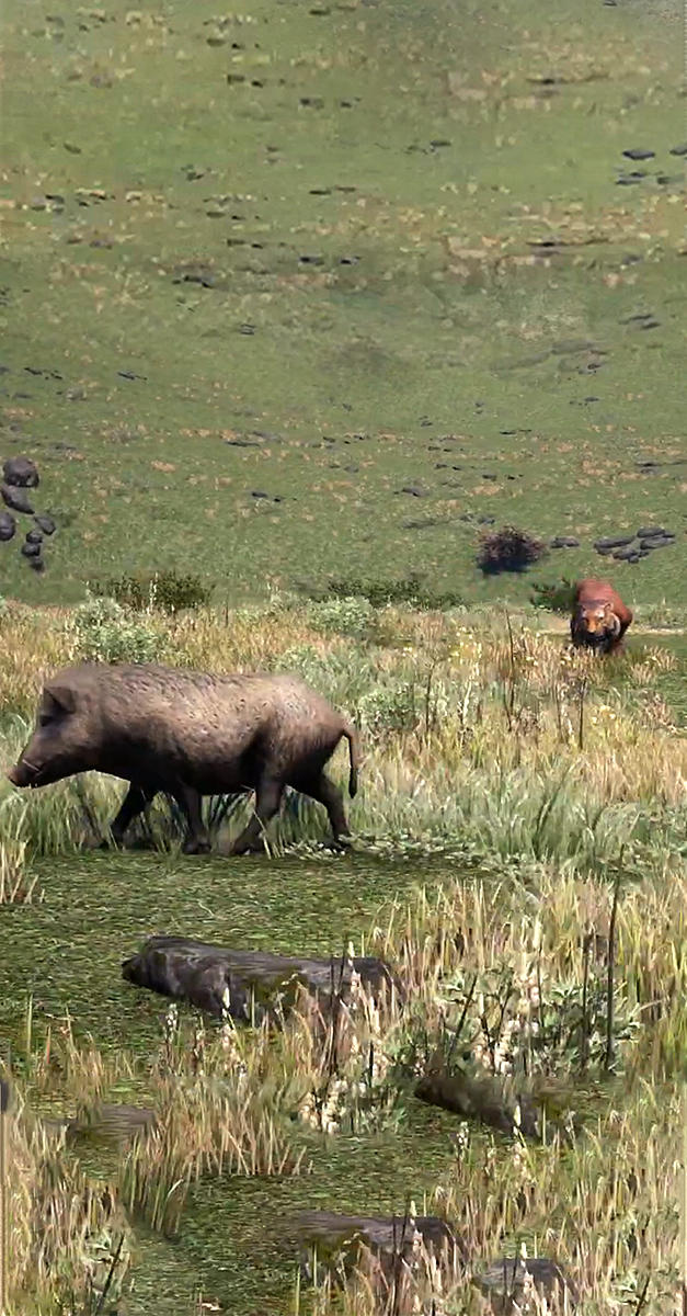 Wild Hunter King Game Screenshot