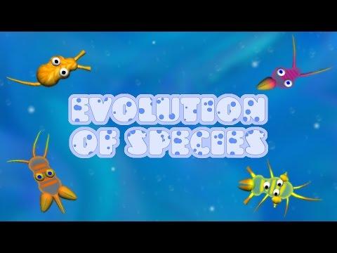 Screenshot of the video of Evolution of Species