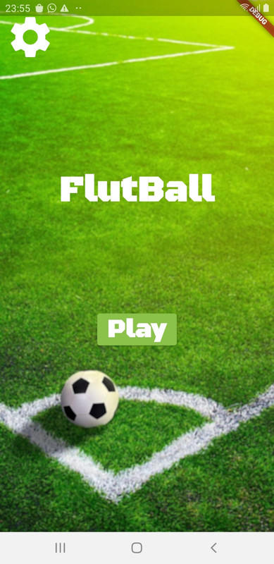 flutball Game Screenshot