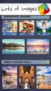 Puzzles & Jigsaws Pro Game Screenshot