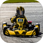 Go kart racing games Real Race