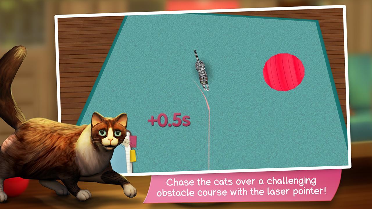 CatHotel - play with cute cats Game Screenshot