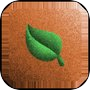 Mind Twist Memo Puzzle