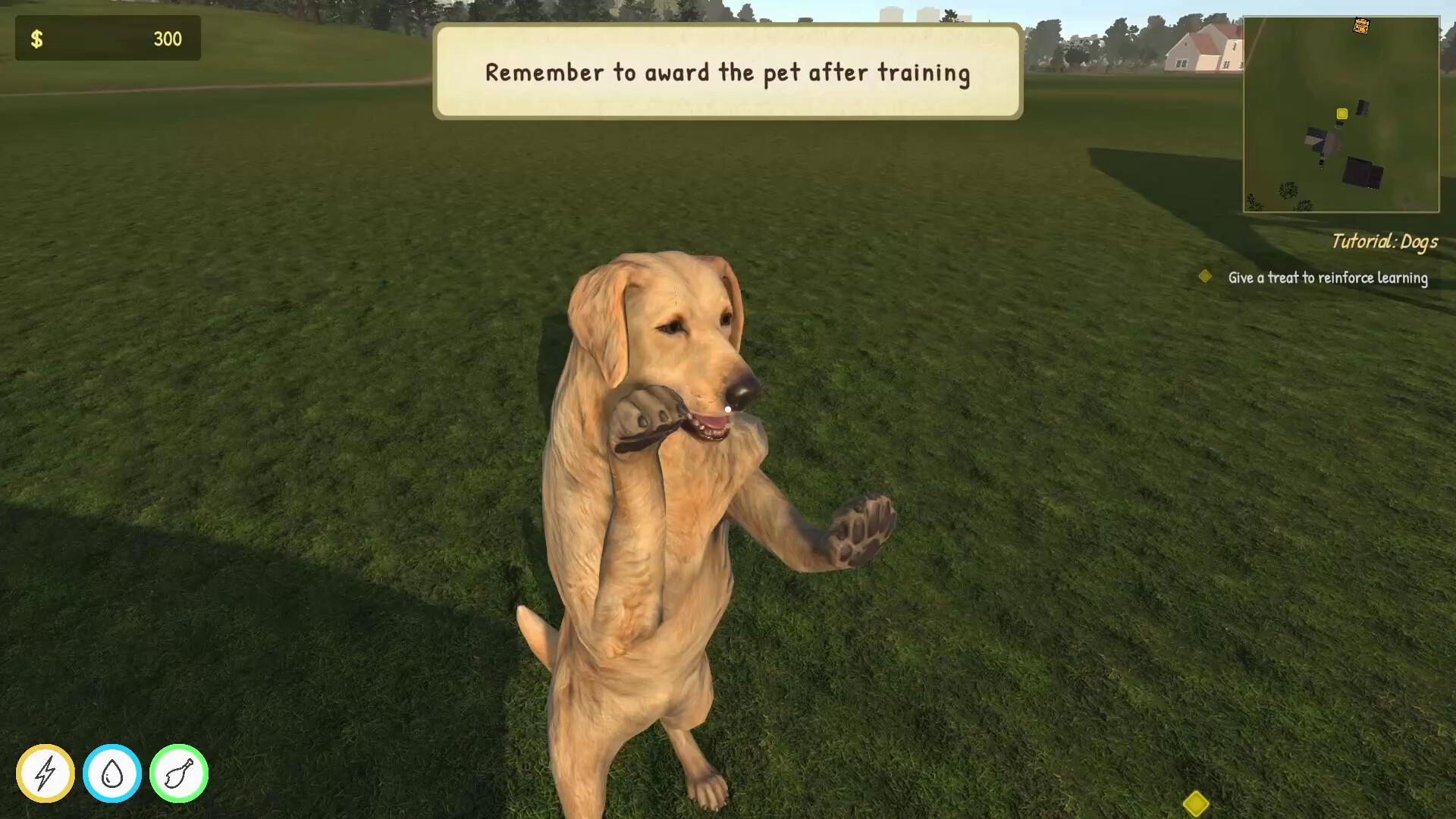 Animal Trainer Simulator: Prologue ภาพหน้าจอเกม