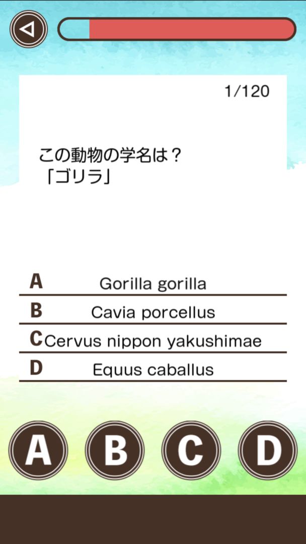 Screenshot of 動物学名クイズ