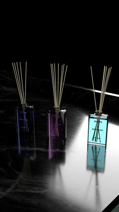 Escape Game: Ducks Game Screenshot