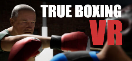 Banner of စစ်မှန်သော Boxing VR 