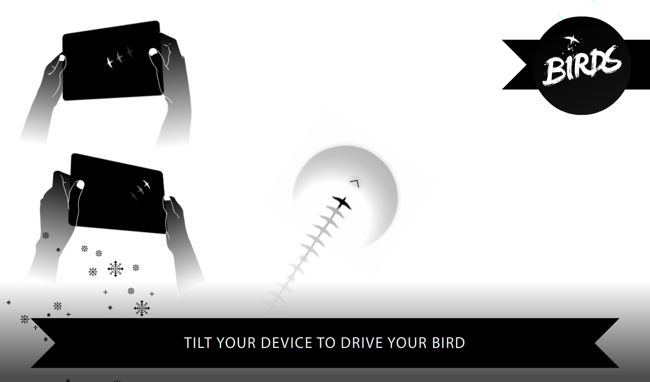 Birds Game Screenshot