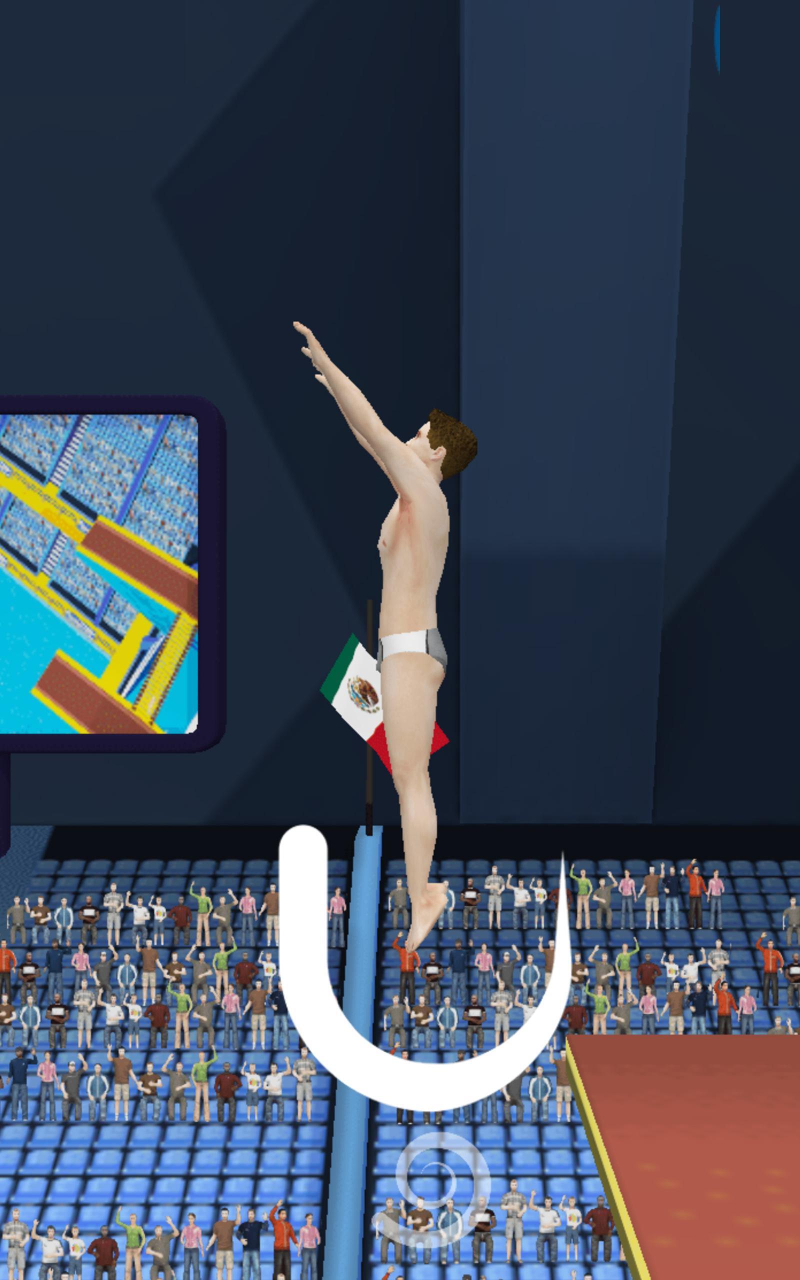 Summer Sports: Flip Diving 게임 스크린 샷