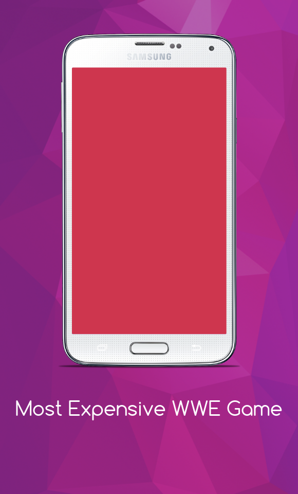 Most Expensive Real WWE Games Game Screenshot