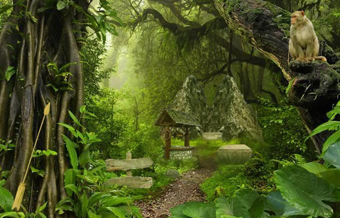 Escape Game - Asian Jungle Game Screenshot