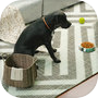 Pet Dog Simulator Puppy Game