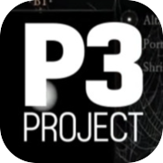 項目P3
