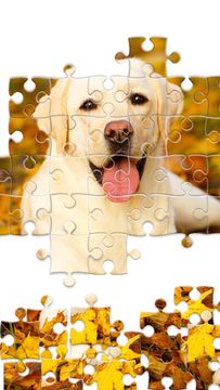 Cuplikan Layar Game Jigsaw1000: Jigsaw puzzles