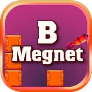 B Magnete