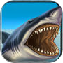 The Jaws Real Shark Attacks