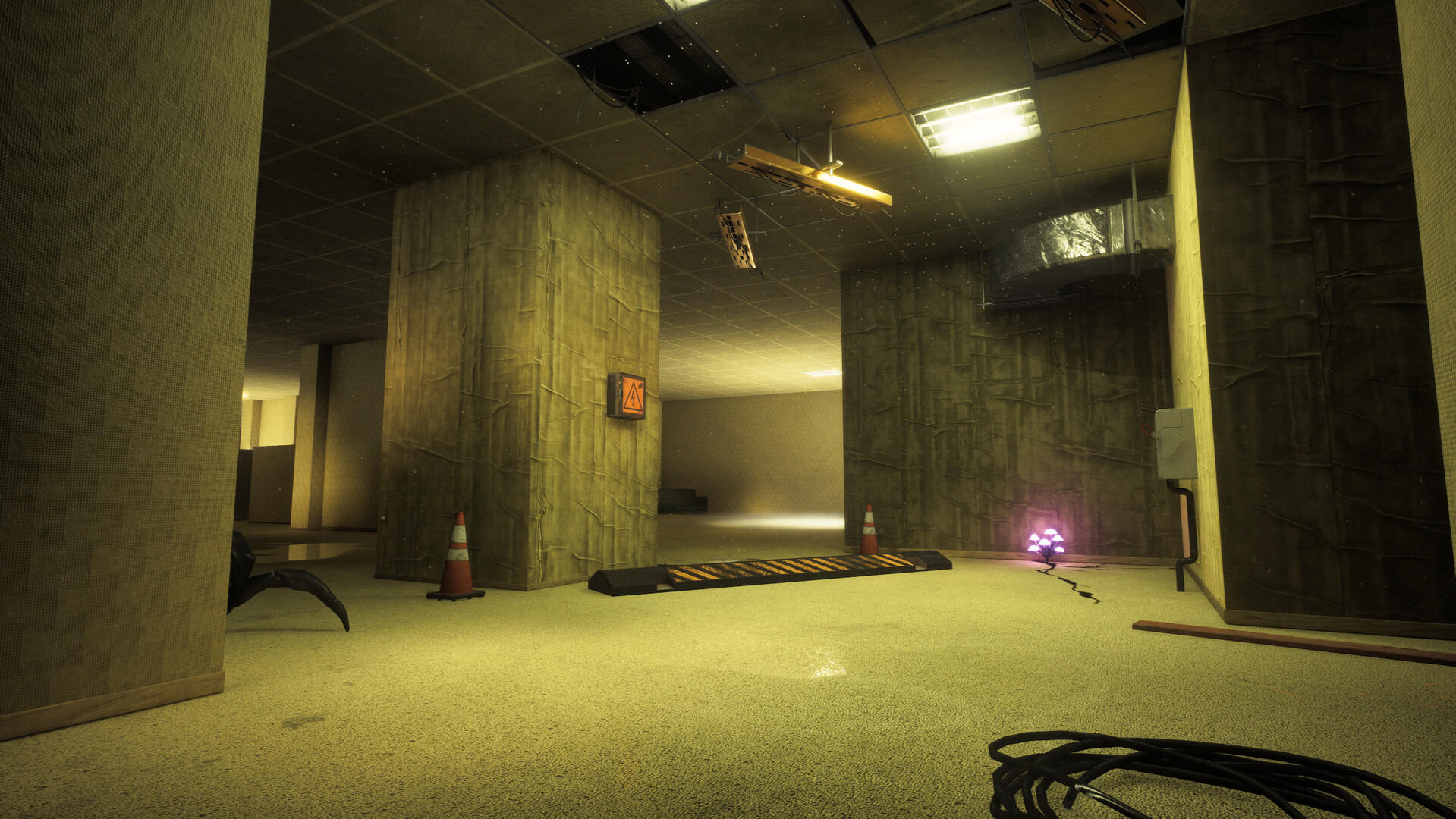 Level Unknown: Backrooms Game Screenshot