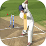 Cricket Bat Ball Game 3D 2024
