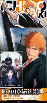 BLEACH Mirrors High Game Screenshot