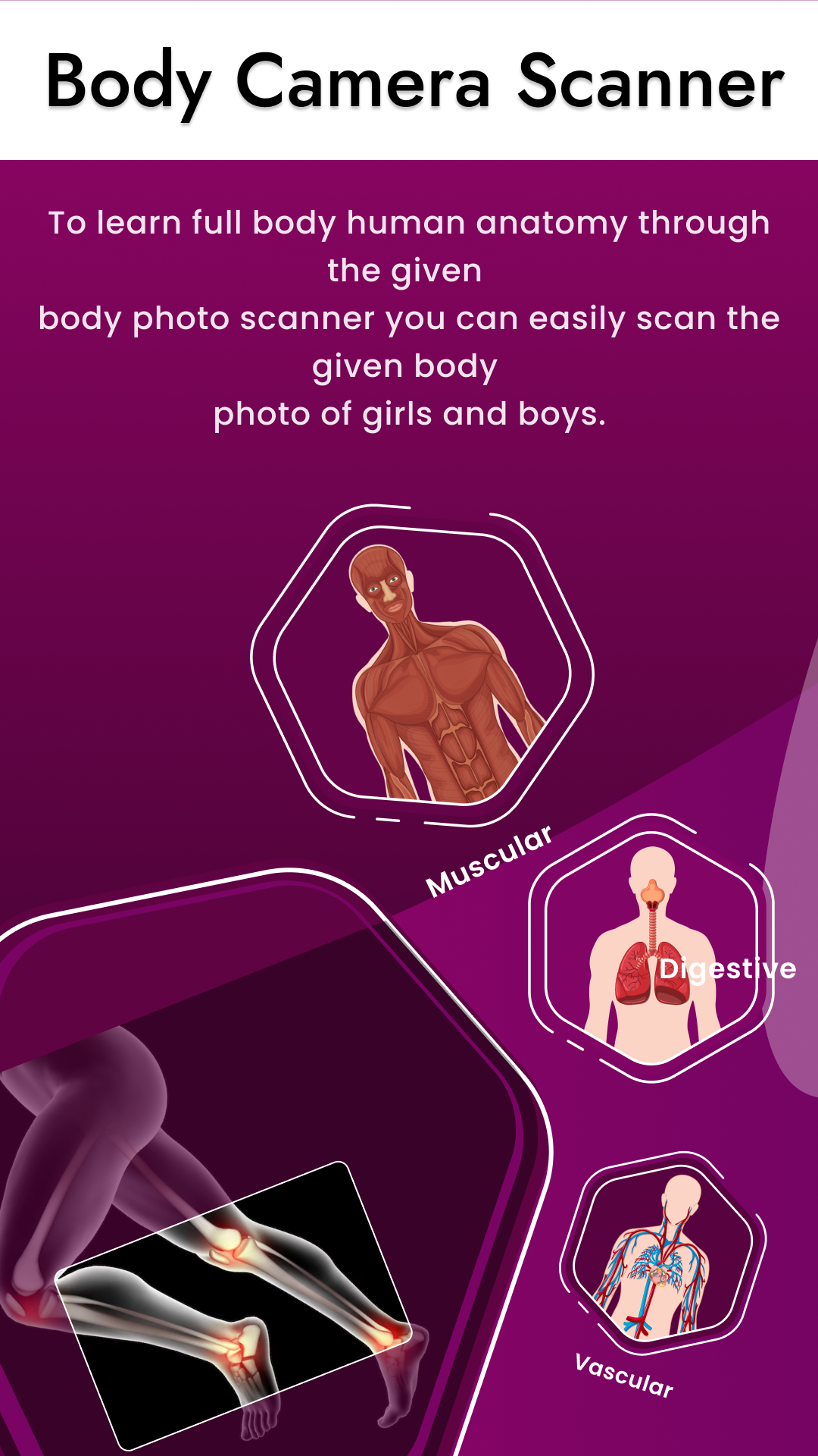 Body scanner : X ray scannerのキャプチャ