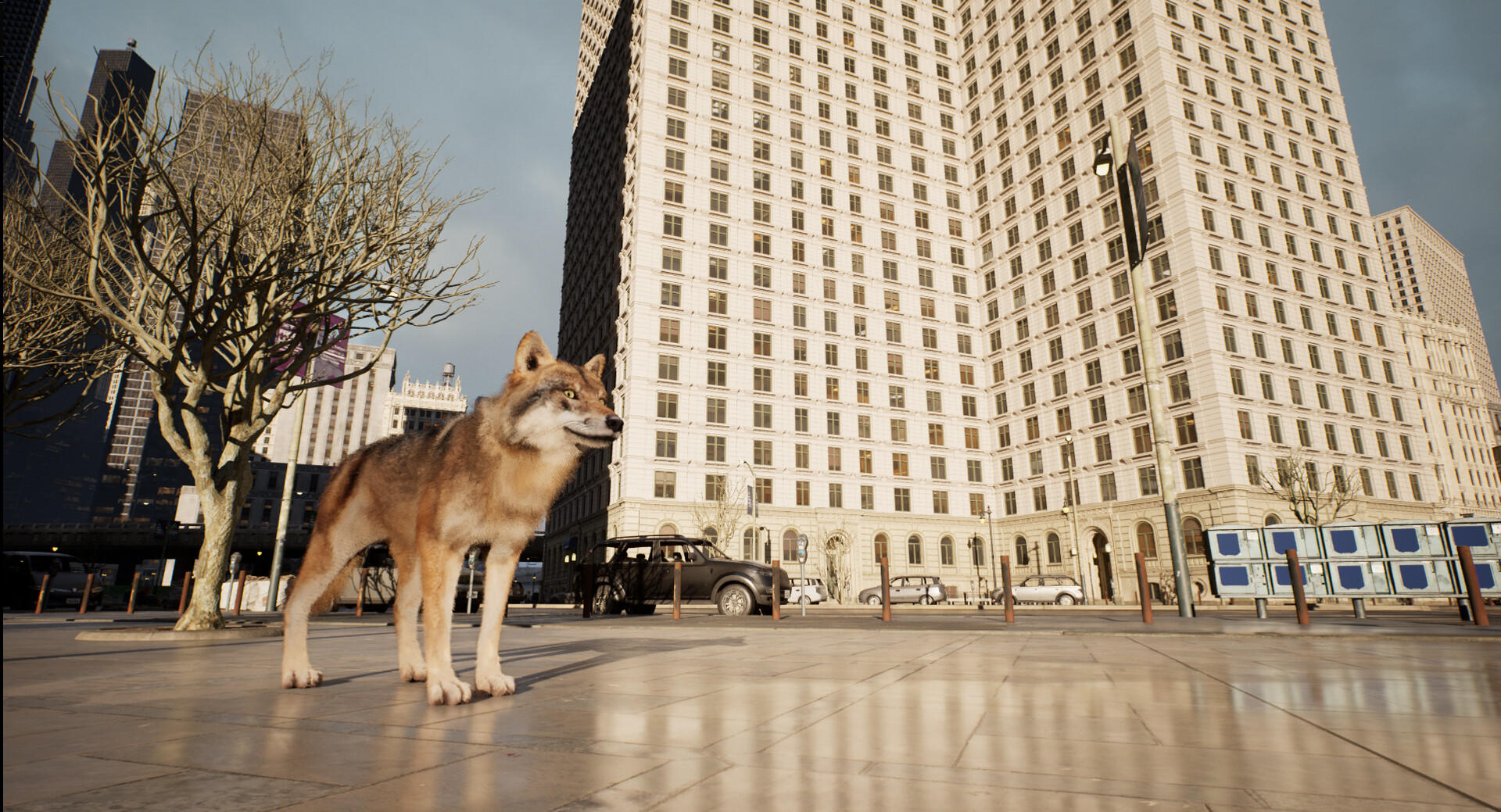 WOLF IN THE CITY Game Screenshot