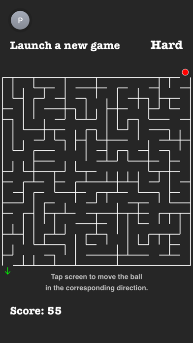 Infinity Maze Game Screenshot