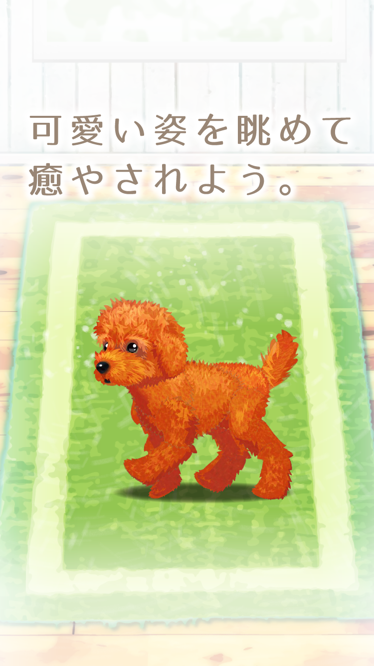 Cuplikan Layar Game 癒しの子犬育成ゲーム〜トイプードル編〜