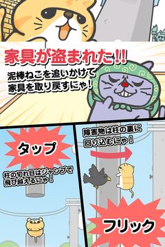 猫のエキゾチックショートヘアのえきぞうが追いかけるにゃ! Game Screenshot