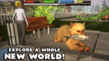 Stray Cat Simulator Game Screenshot