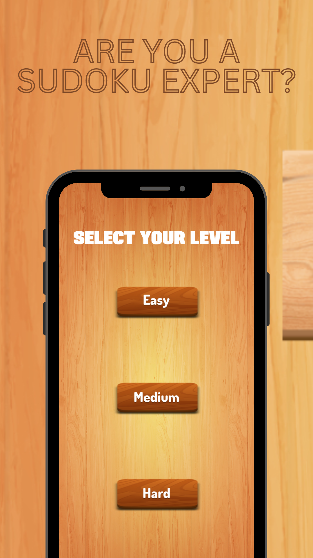 Sudoku Puzzle Classic Game Screenshot