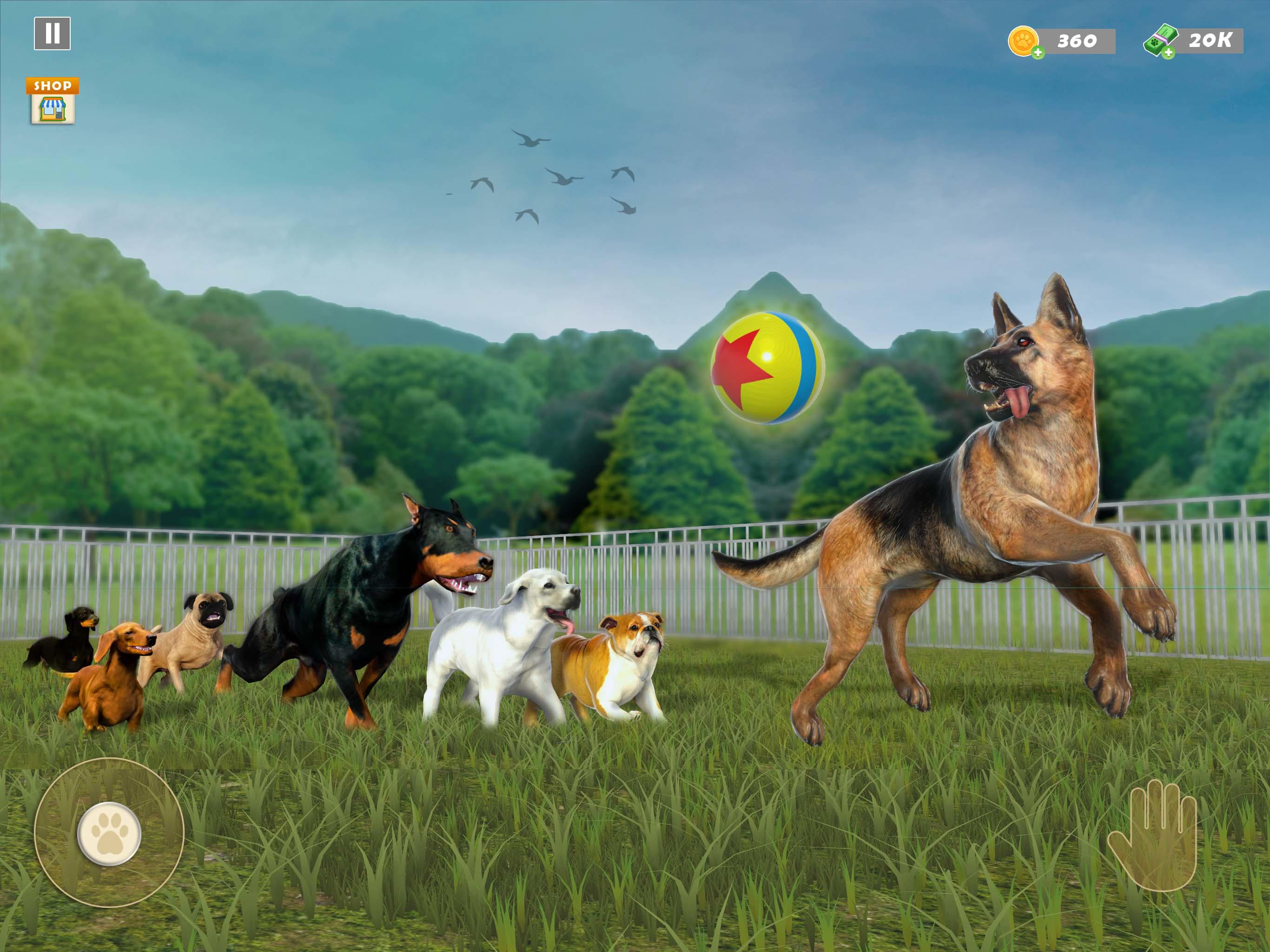 Animal Shelter Pet Rescue Game android iOS apk download for free-TapTap