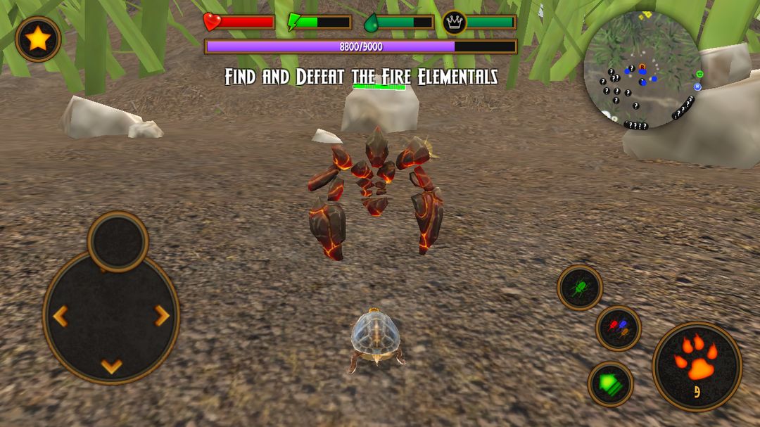 Screenshot of Box Turtle Simulator