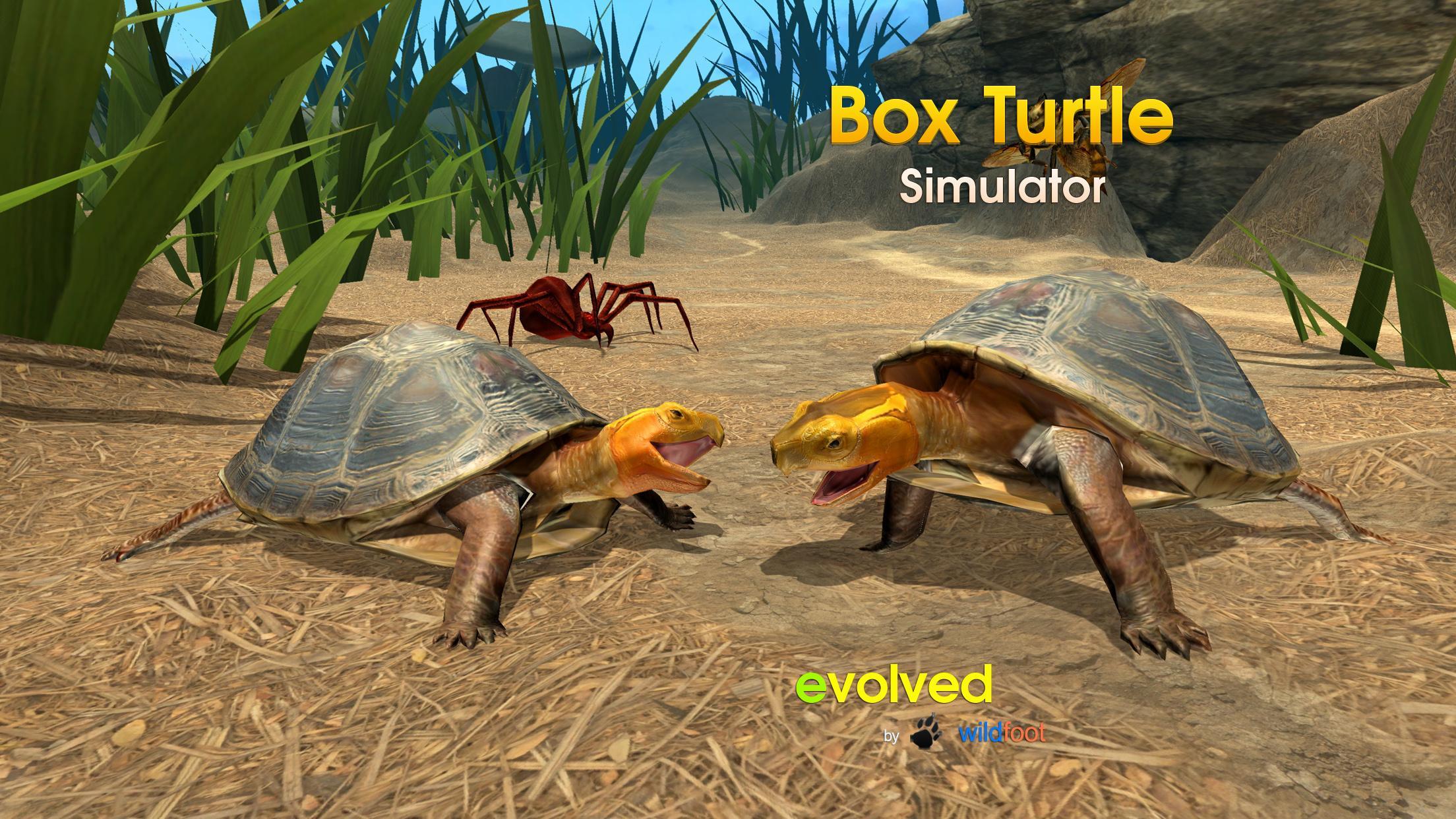 Box Turtle Simulatorのキャプチャ