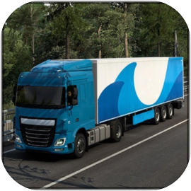 Professional bus and truck driver