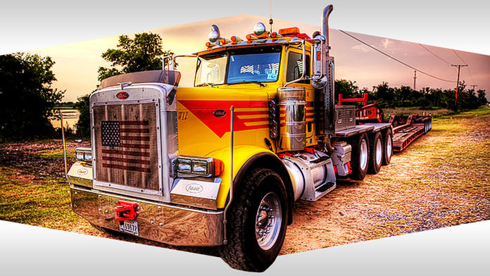 Truck Simulator PRO 2018 Game Screenshot