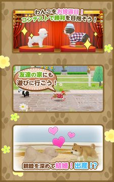 てのひらワンコ ★スマホでわんこ育成★ Game Screenshot